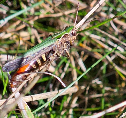 Shared-from-Lightroom-mobile24